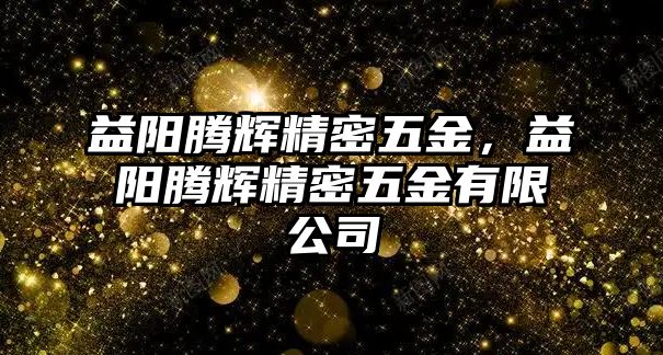 益陽騰輝精密五金，益陽騰輝精密五金有限公司