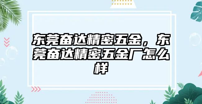 東莞奮達精密五金，東莞奮達精密五金廠怎么樣