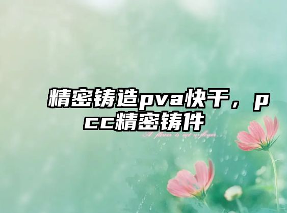 精密鑄造pva快干，pcc精密鑄件