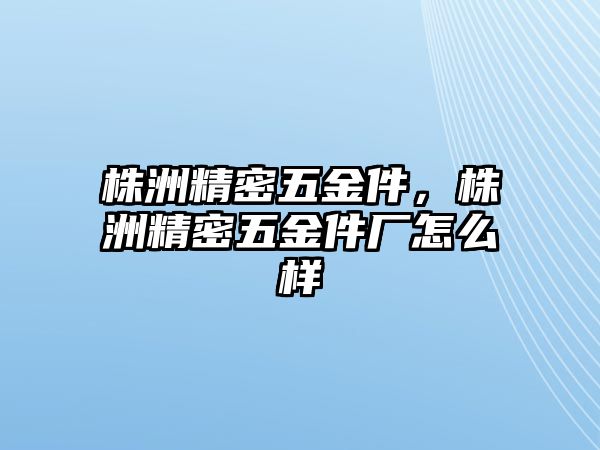 株洲精密五金件，株洲精密五金件廠怎么樣