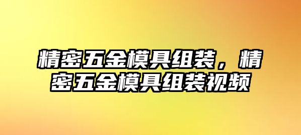 精密五金模具組裝，精密五金模具組裝視頻