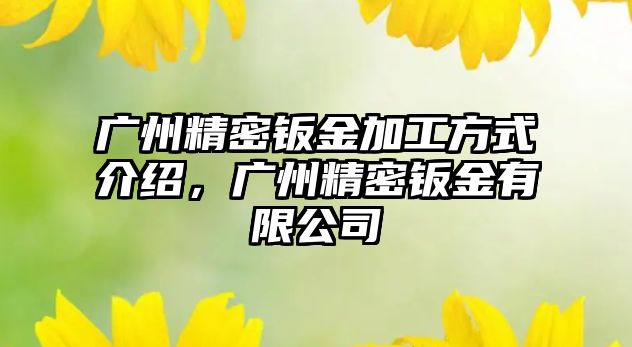 廣州精密鈑金加工方式介紹，廣州精密鈑金有限公司