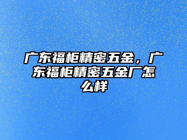 廣東福柜精密五金，廣東福柜精密五金廠怎么樣