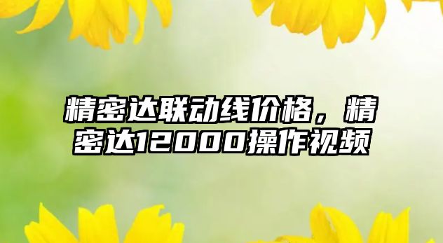 精密達(dá)聯(lián)動(dòng)線價(jià)格，精密達(dá)12000操作視頻