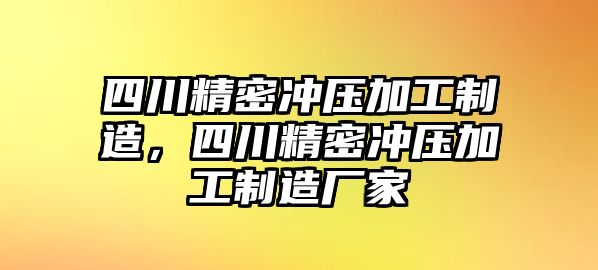 四川精密沖壓加工制造，四川精密沖壓加工制造廠家