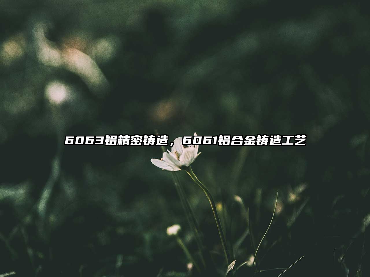 6063鋁精密鑄造，6061鋁合金鑄造工藝