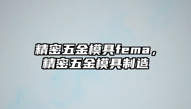 精密五金模具fema，精密五金模具制造