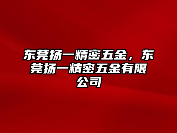 東莞揚(yáng)一精密五金，東莞揚(yáng)一精密五金有限公司