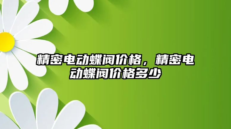 精密電動蝶閥價格，精密電動蝶閥價格多少