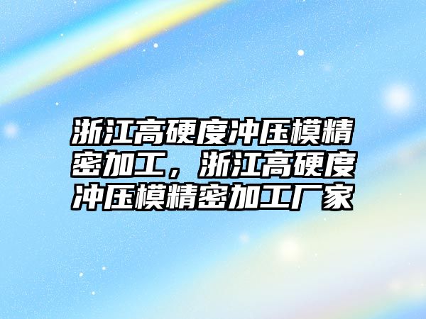 浙江高硬度沖壓模精密加工，浙江高硬度沖壓模精密加工廠家