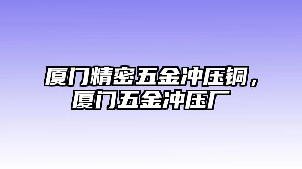 廈門精密五金沖壓銅，廈門五金沖壓廠