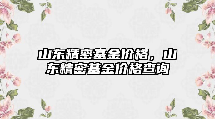 山東精密基金價(jià)格，山東精密基金價(jià)格查詢