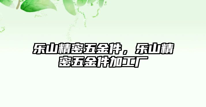 樂山精密五金件，樂山精密五金件加工廠