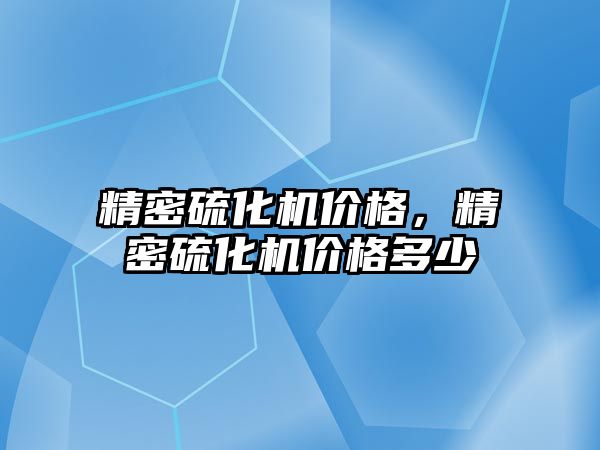 精密硫化機價格，精密硫化機價格多少