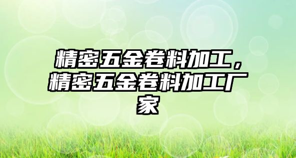 精密五金卷料加工，精密五金卷料加工廠家