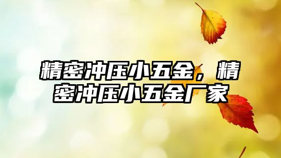 精密沖壓小五金，精密沖壓小五金廠家