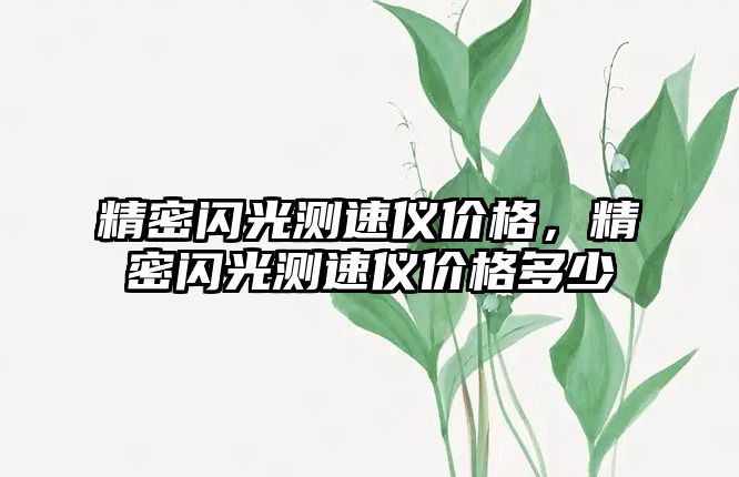 精密閃光測(cè)速儀價(jià)格，精密閃光測(cè)速儀價(jià)格多少