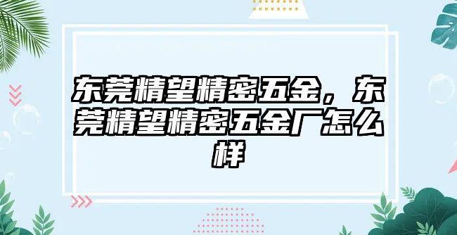 東莞精望精密五金，東莞精望精密五金廠怎么樣