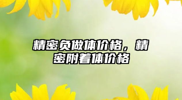 精密負做體價格，精密附著體價格