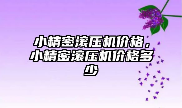 小精密滾壓機價格，小精密滾壓機價格多少