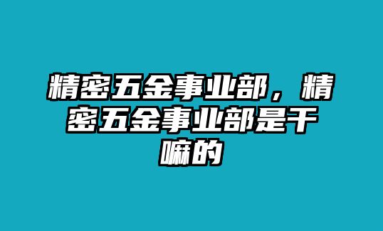 精密五金事業(yè)部，精密五金事業(yè)部是干嘛的