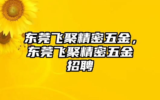 東莞飛聚精密五金，東莞飛聚精密五金招聘