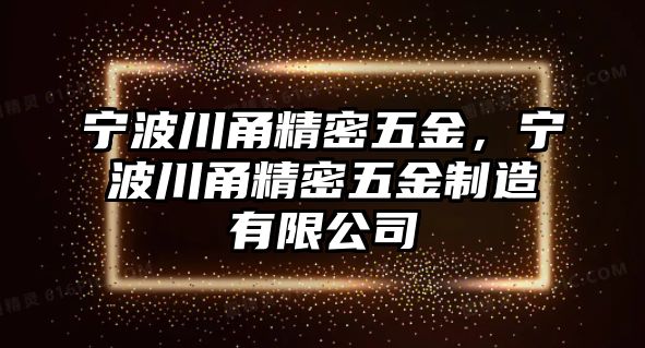 寧波川甬精密五金，寧波川甬精密五金制造有限公司