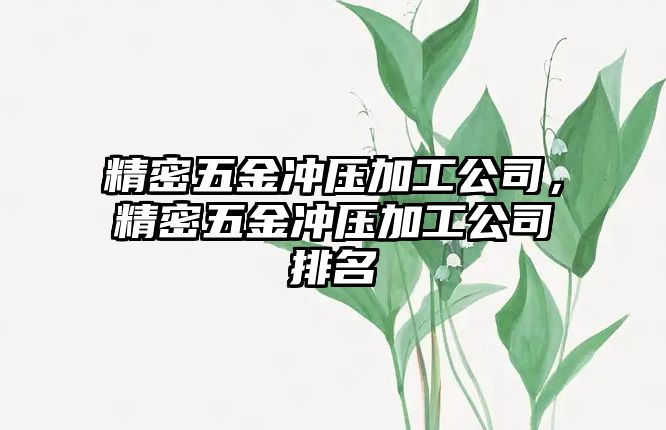 精密五金沖壓加工公司，精密五金沖壓加工公司排名