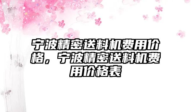 寧波精密送料機(jī)費(fèi)用價(jià)格，寧波精密送料機(jī)費(fèi)用價(jià)格表