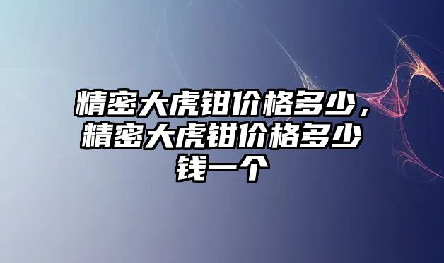 精密大虎鉗價格多少，精密大虎鉗價格多少錢一個