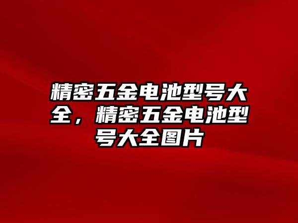 精密五金電池型號大全，精密五金電池型號大全圖片