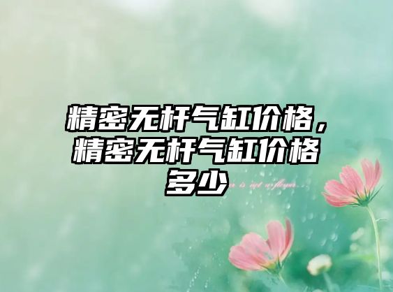 精密無桿氣缸價格，精密無桿氣缸價格多少