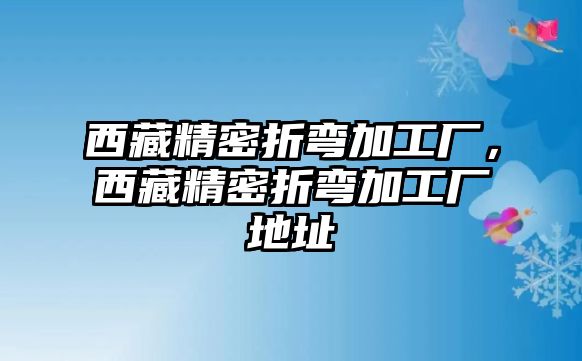 西藏精密折彎加工廠，西藏精密折彎加工廠地址