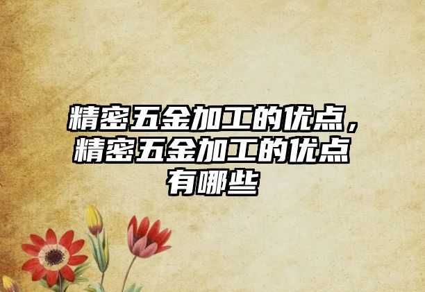 精密五金加工的優(yōu)點，精密五金加工的優(yōu)點有哪些