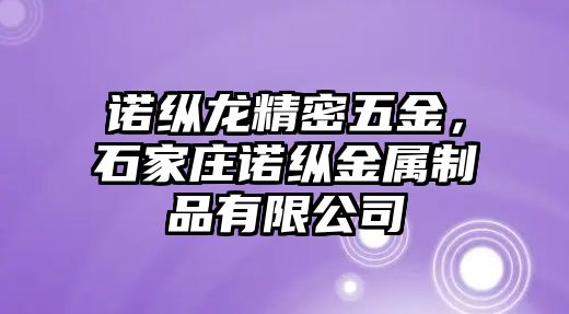 諾縱龍精密五金，石家莊諾縱金屬制品有限公司