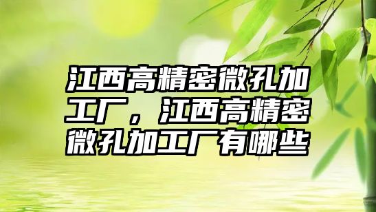 江西高精密微孔加工廠，江西高精密微孔加工廠有哪些