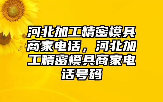 河北加工精密模具商家電話，河北加工精密模具商家電話號碼