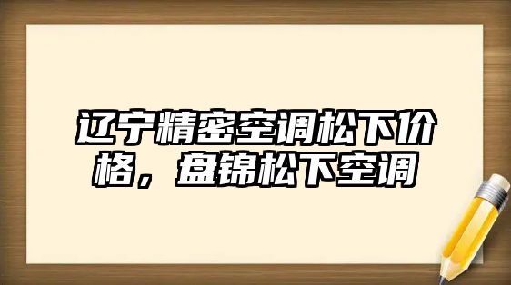 遼寧精密空調(diào)松下價格，盤錦松下空調(diào)