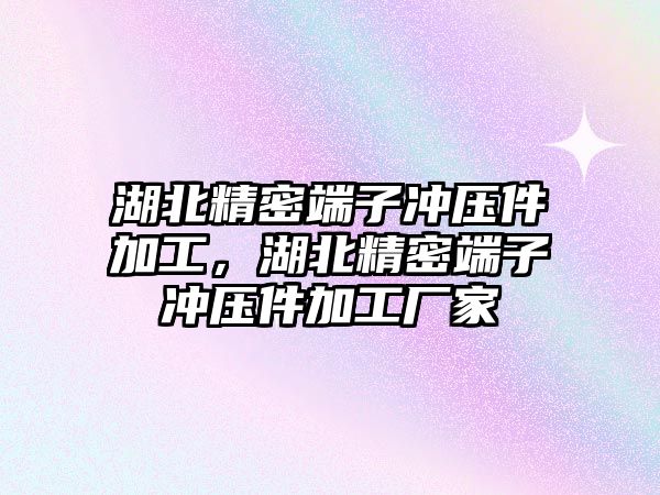 湖北精密端子沖壓件加工，湖北精密端子沖壓件加工廠家