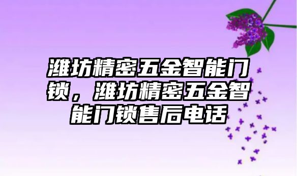 濰坊精密五金智能門鎖，濰坊精密五金智能門鎖售后電話