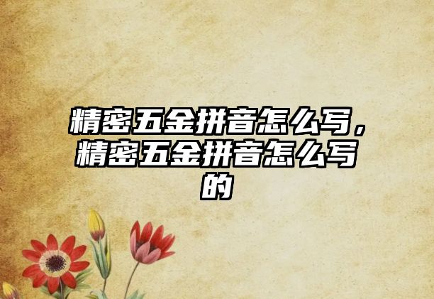 精密五金拼音怎么寫，精密五金拼音怎么寫的