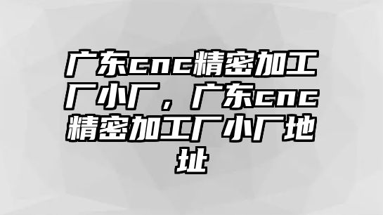 廣東cnc精密加工廠小廠，廣東cnc精密加工廠小廠地址