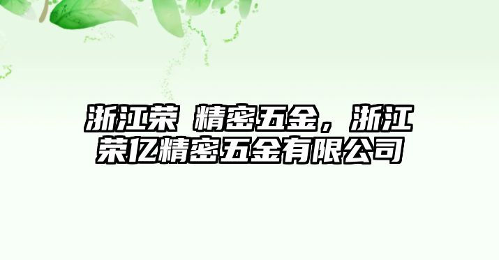 浙江榮億精密五金，浙江榮億精密五金有限公司