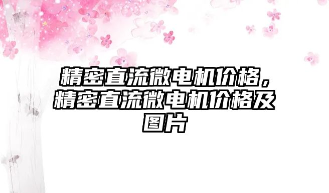 精密直流微電機(jī)價格，精密直流微電機(jī)價格及圖片