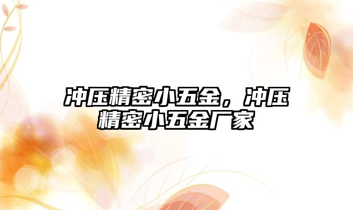 沖壓精密小五金，沖壓精密小五金廠家