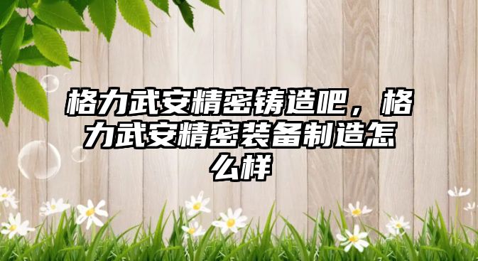 格力武安精密鑄造吧，格力武安精密裝備制造怎么樣