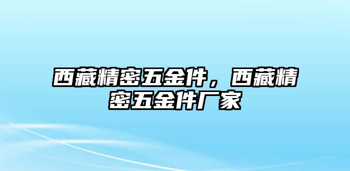 西藏精密五金件，西藏精密五金件廠家