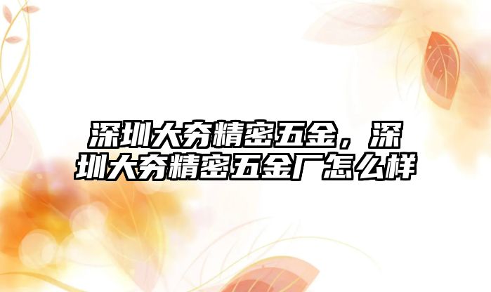 深圳大夯精密五金，深圳大夯精密五金廠怎么樣