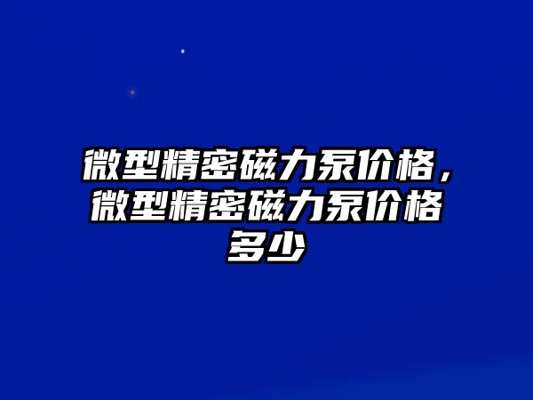 微型精密磁力泵價(jià)格，微型精密磁力泵價(jià)格多少