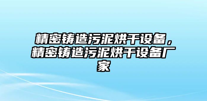 精密鑄造污泥烘干設(shè)備，精密鑄造污泥烘干設(shè)備廠家